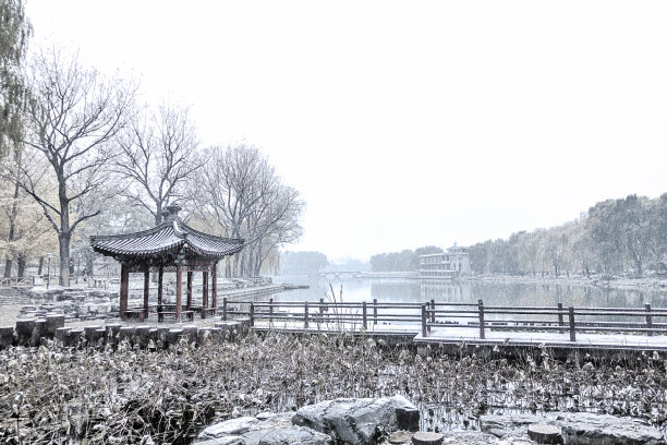 雪天湖岸