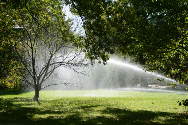 公园草坪喷水浇灌