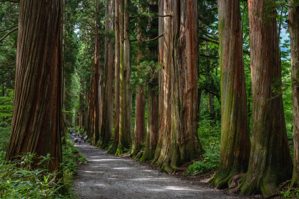 长野县