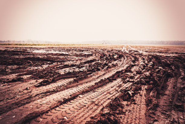 mud
