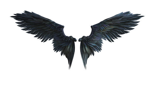 wings