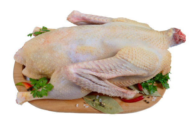 goose