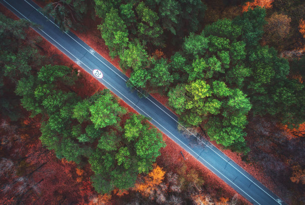 秋季森林公路