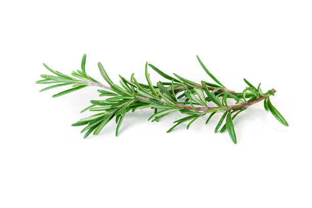 rosemary