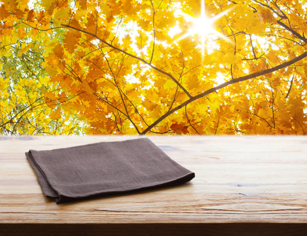 napkin