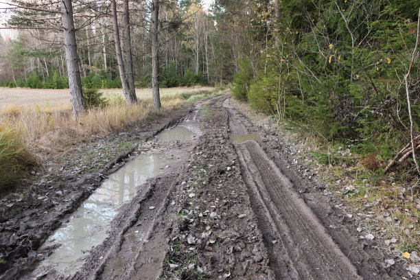mud
