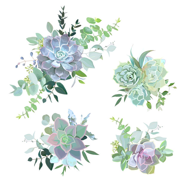 蓝色植物花