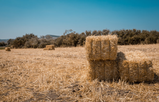 bale