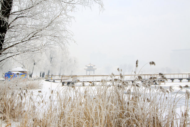 木亭雪景