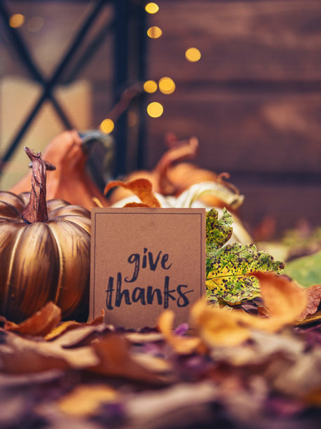 thanksgiving