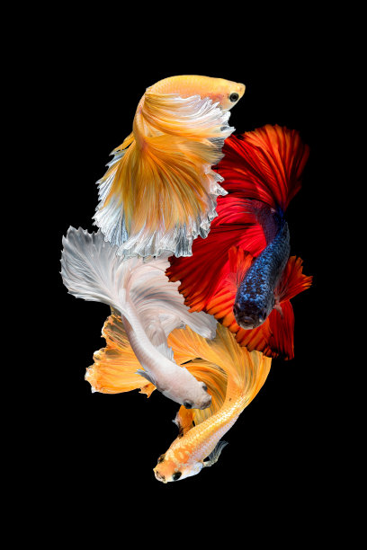 colourful