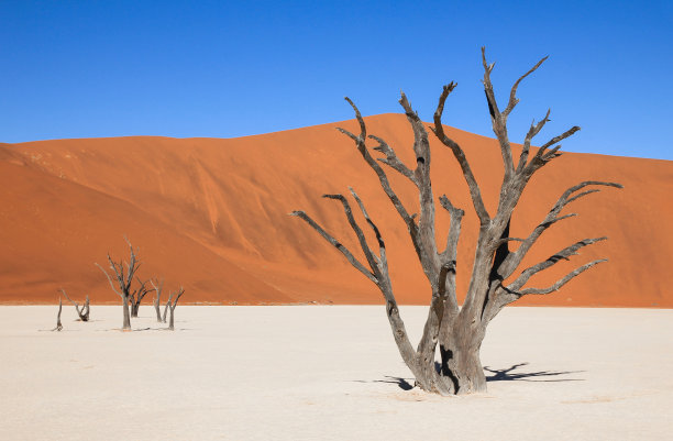 纳米比亚沙漠
