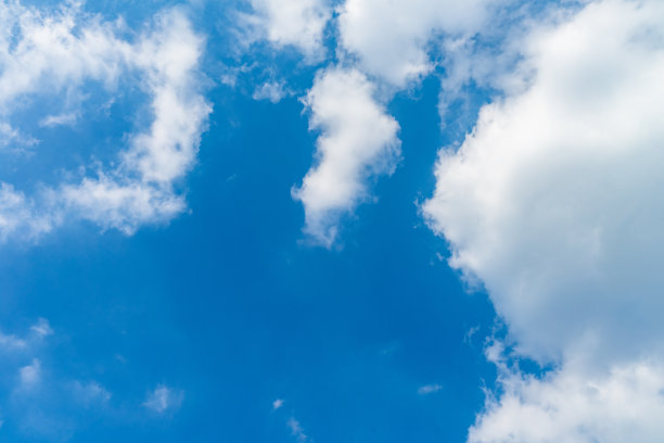 全国生态日背景