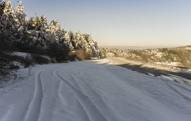 雪地脚印车印