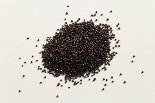 quinoa