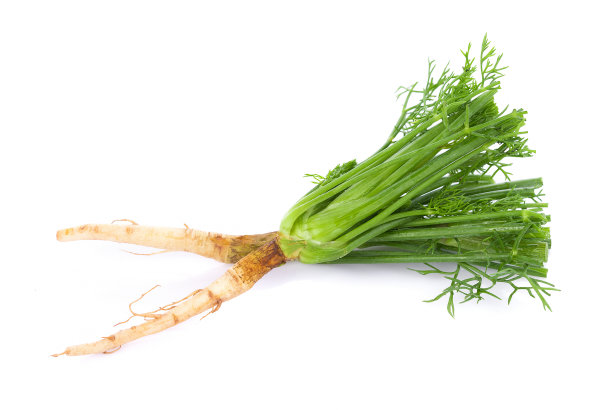 fennel