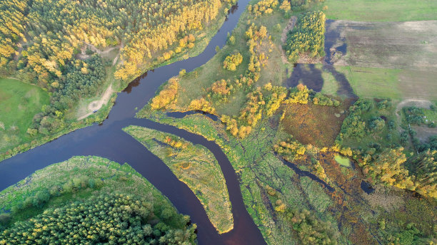 marsh