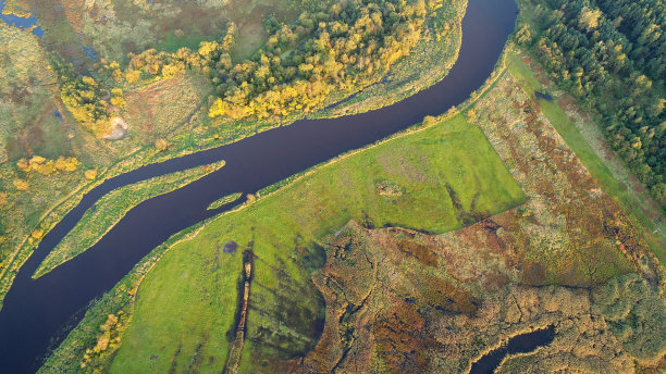 marsh