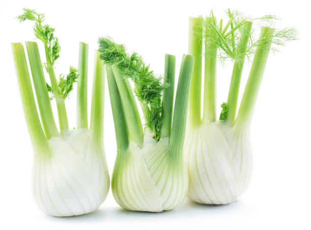 fennel