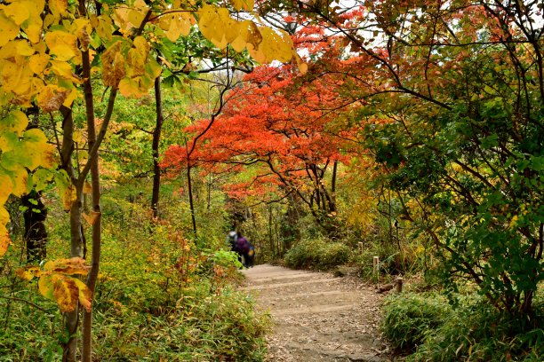 高尾山