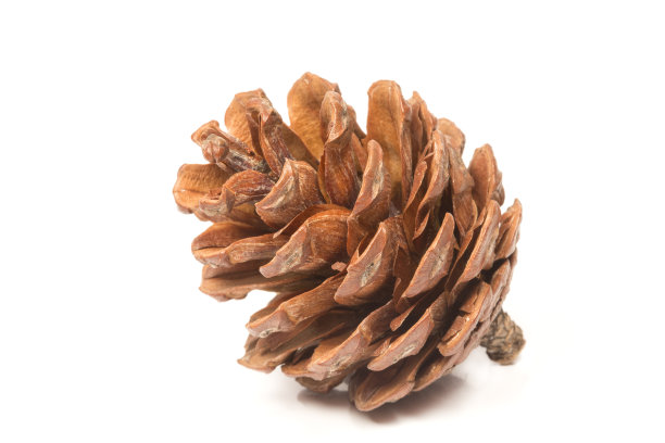 cone