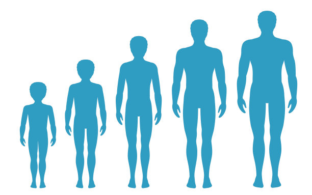 scale