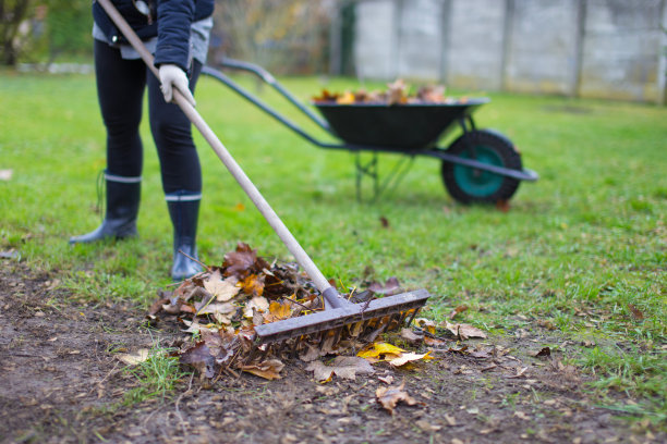 rake