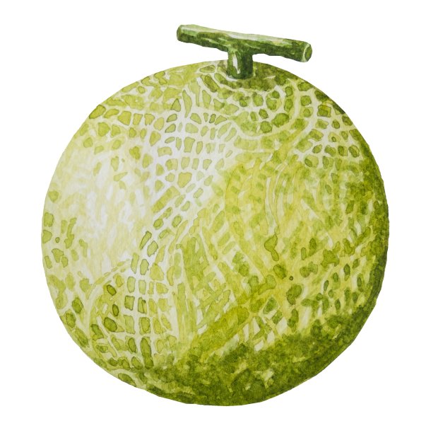 cantaloupe