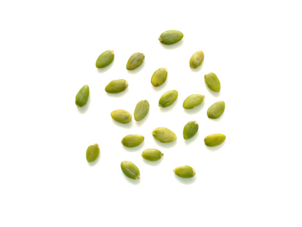 pepita