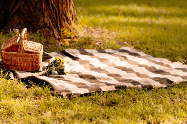 野餐毯