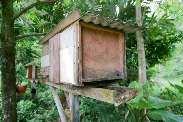 养蜂木箱