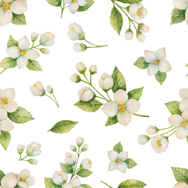 jasmine