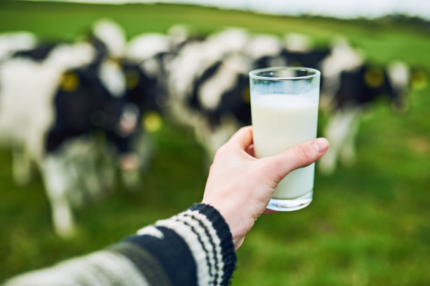 milk