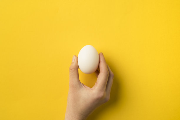 egg