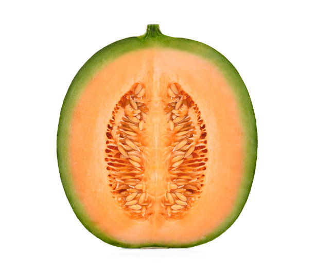cantaloupe