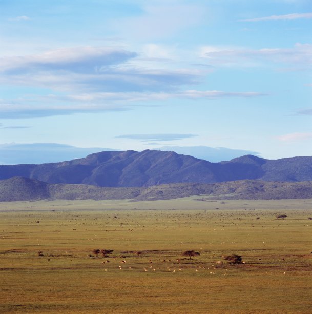 ngorongoro