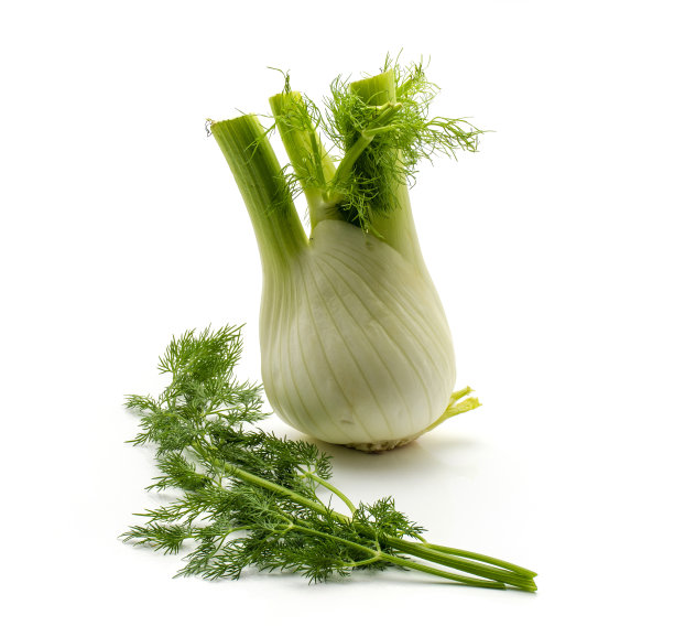 fennel