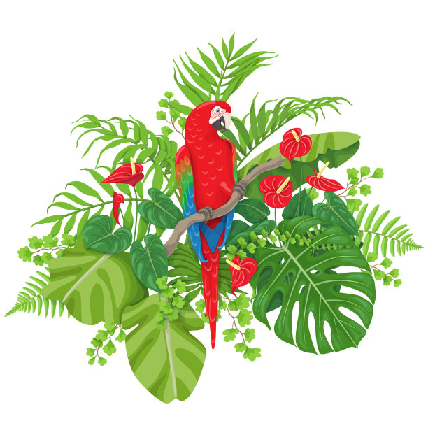 macaws