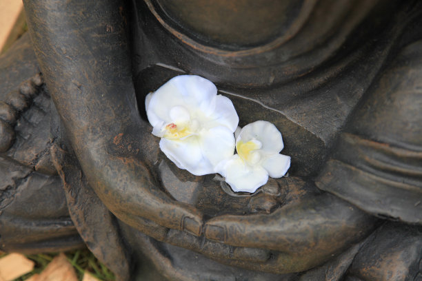 zen