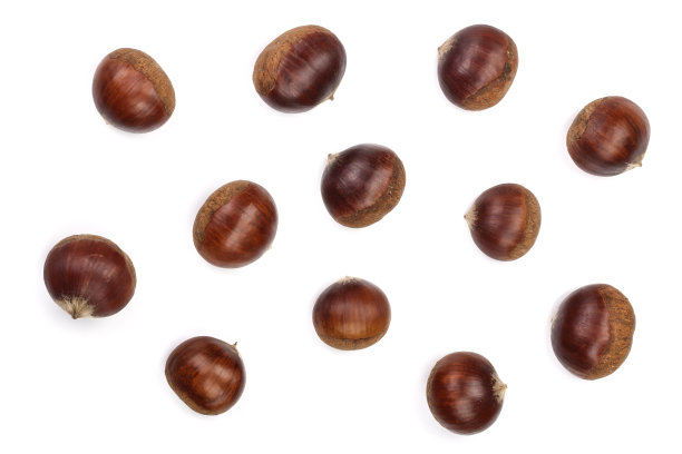 chestnut