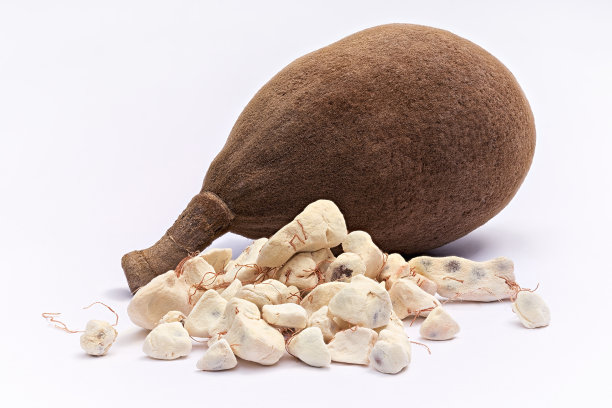 baobab