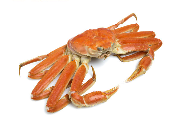 crab