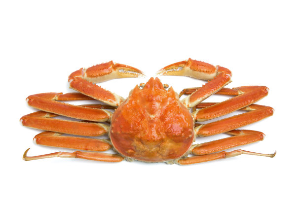 crab