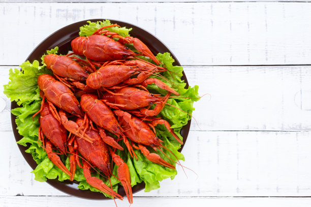 crawdad