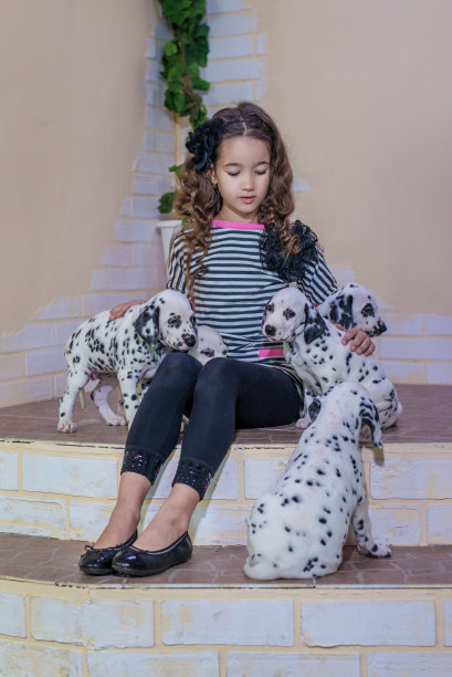 dalmatian