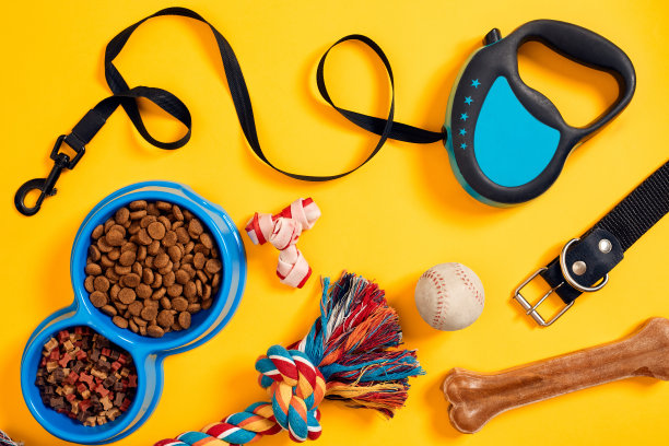 宠物猫宠物狗宠物店