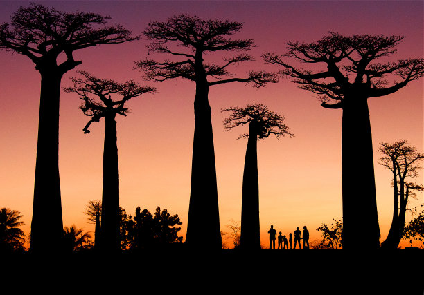 madagascar