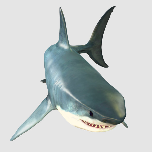 巨鲨