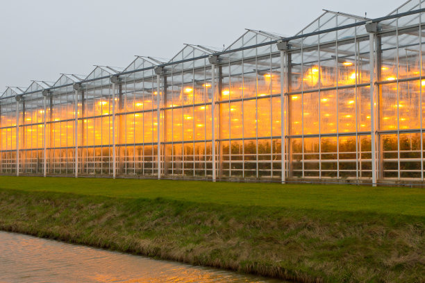 大型农业温室