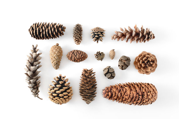 cone